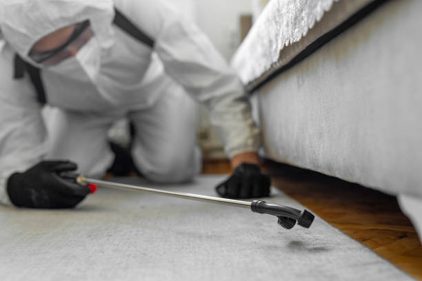 Professional Ant Control technician working in Simsbury Center, CT
