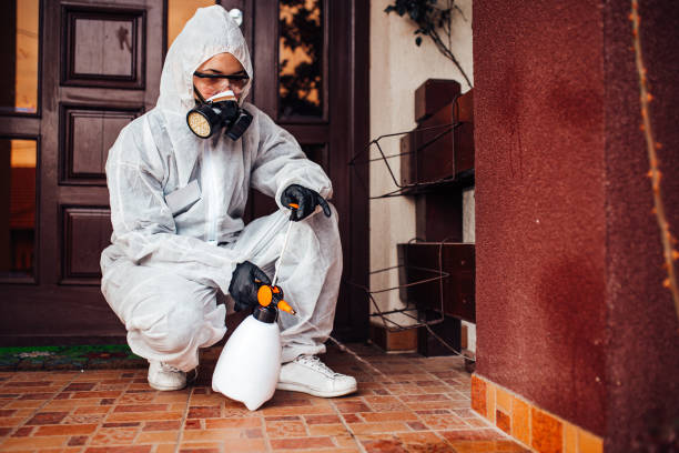Reliable Ant Control contractor in Simsbury Center, CT by Show Me Pest Control